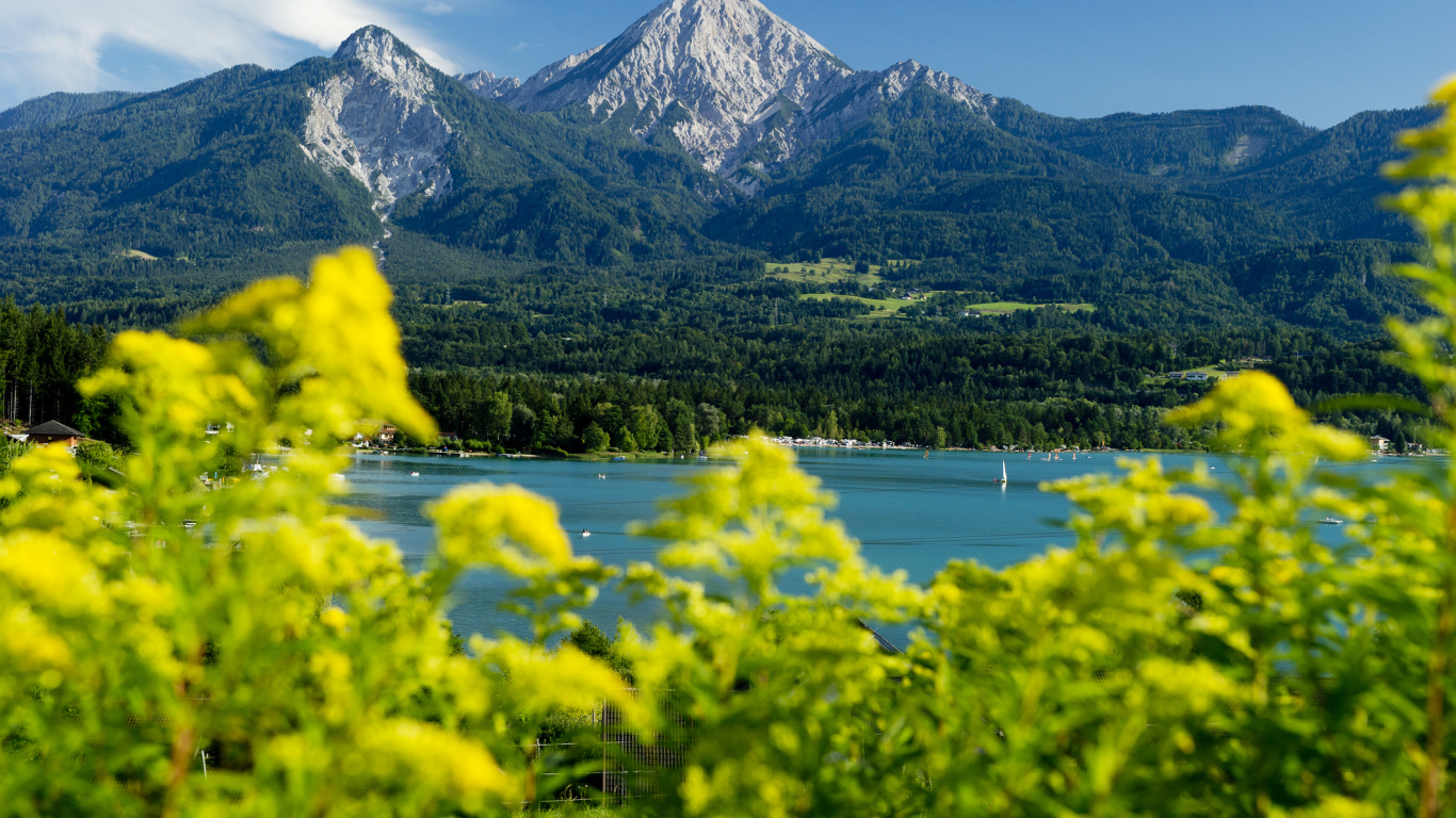 Зелень на фоне гор на курорте Фаакер-Зее, Австрия