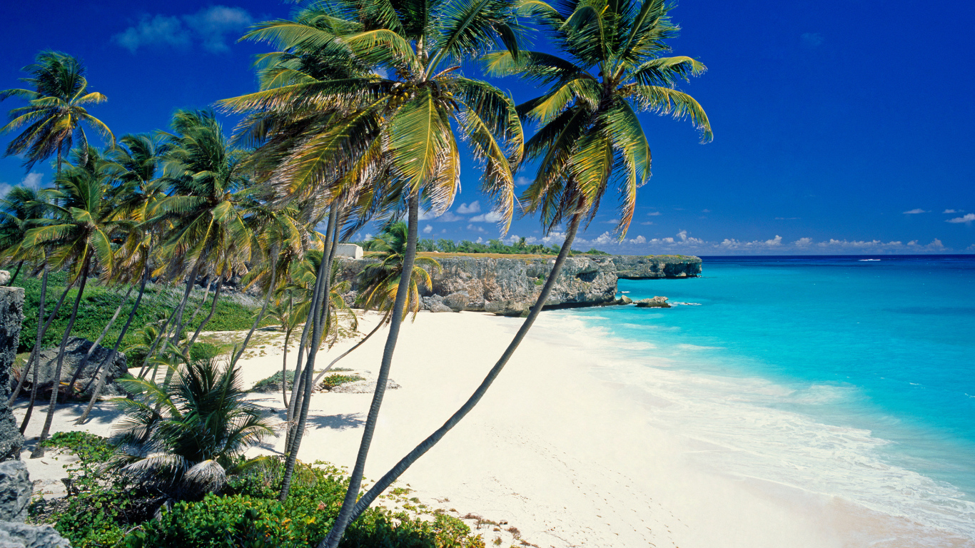 Солнечный берег в Барбадосе