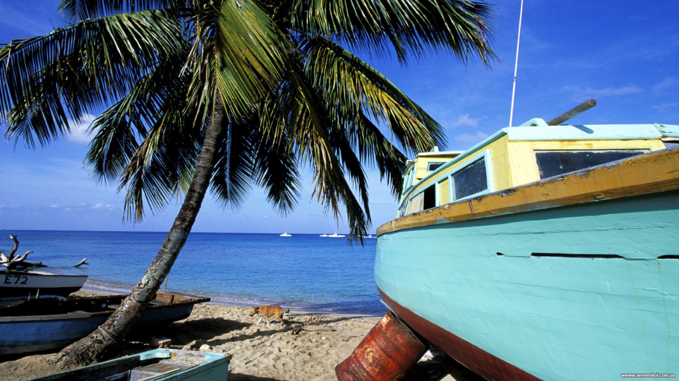 Впечатляющие Барбадос