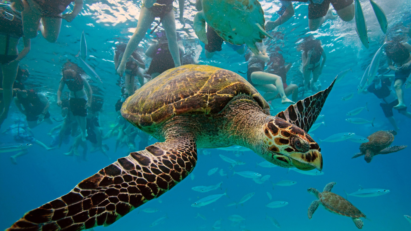 Туристическое место в Барбадос
