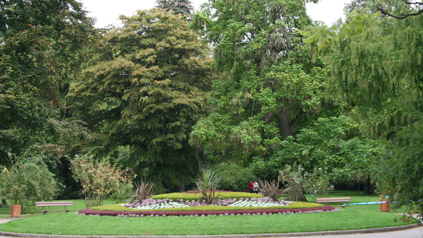 Клумба в городе Виши, Франция
