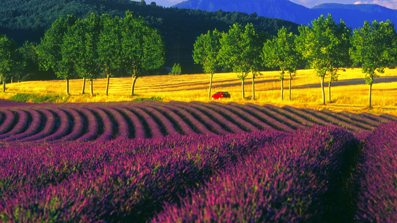 Пейзаж в Провансе, Франция