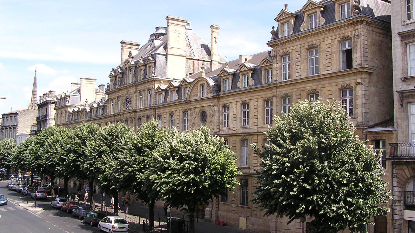 Деревья на улице в Бордо, Франция