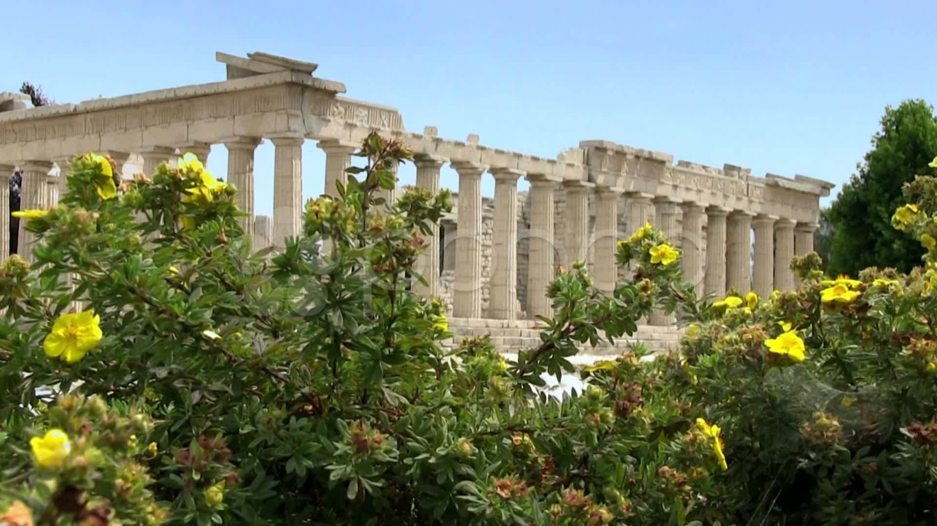 Цветущие кустарники на фоне Акрополя в Афинах
