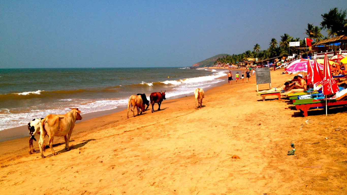 Пляжи в Анджуне