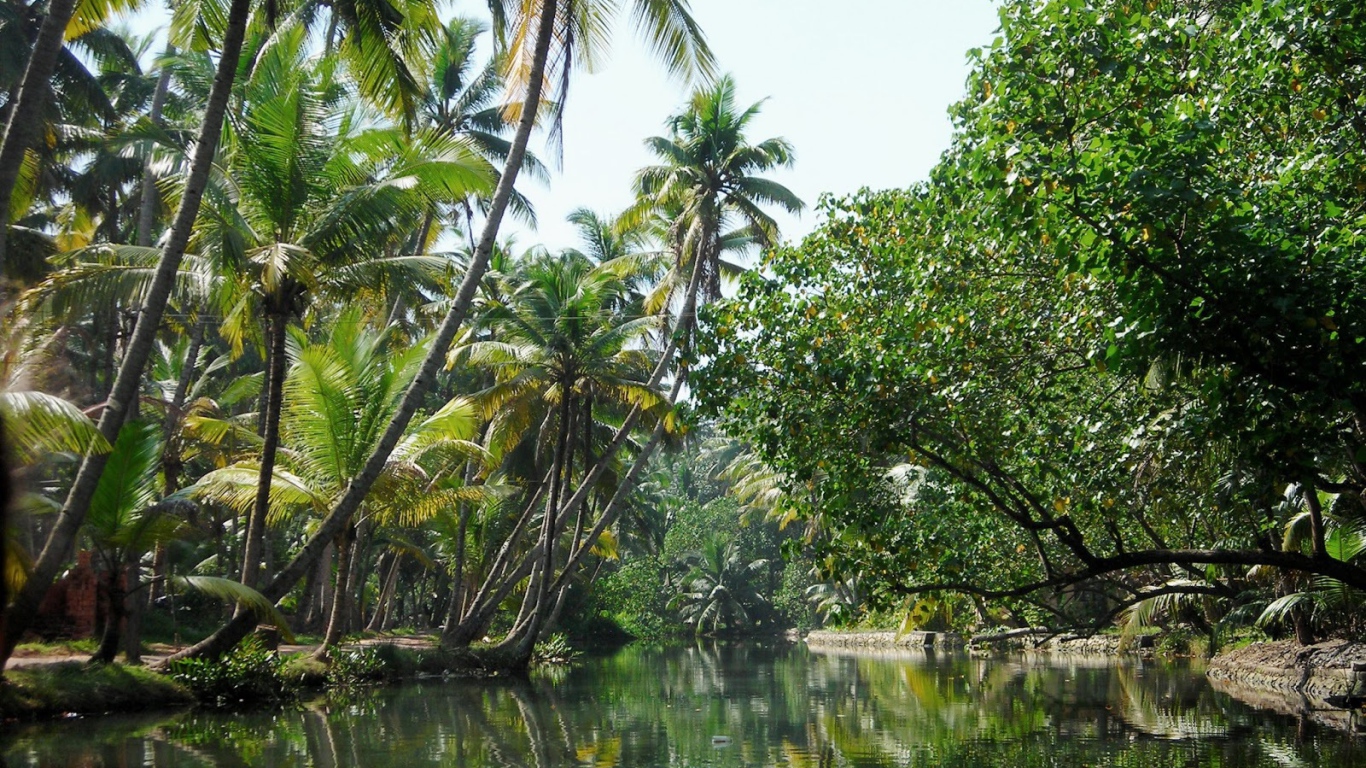 Красивая природа в Алапужа