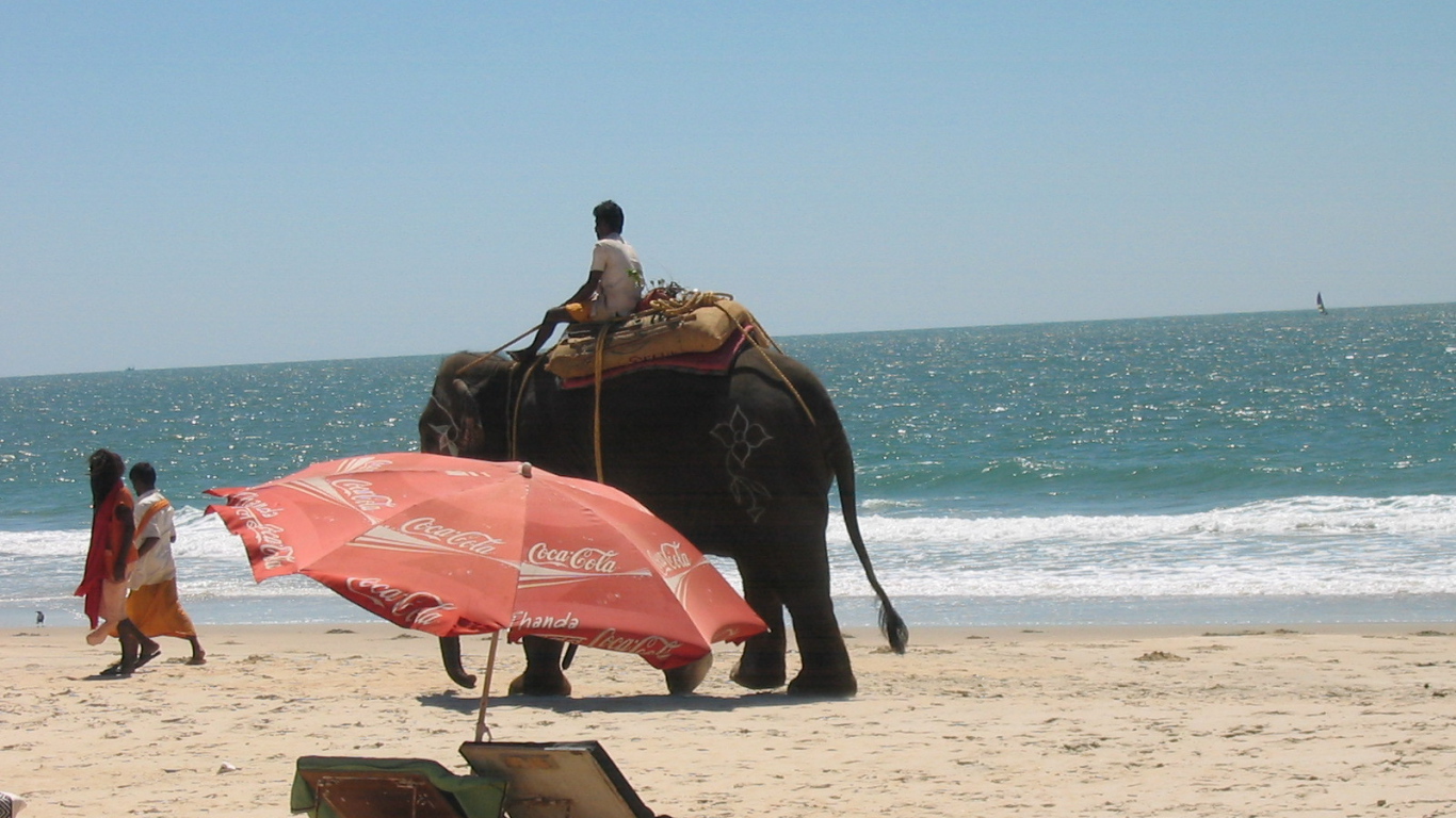 Слон на пляже в Бенаулиме