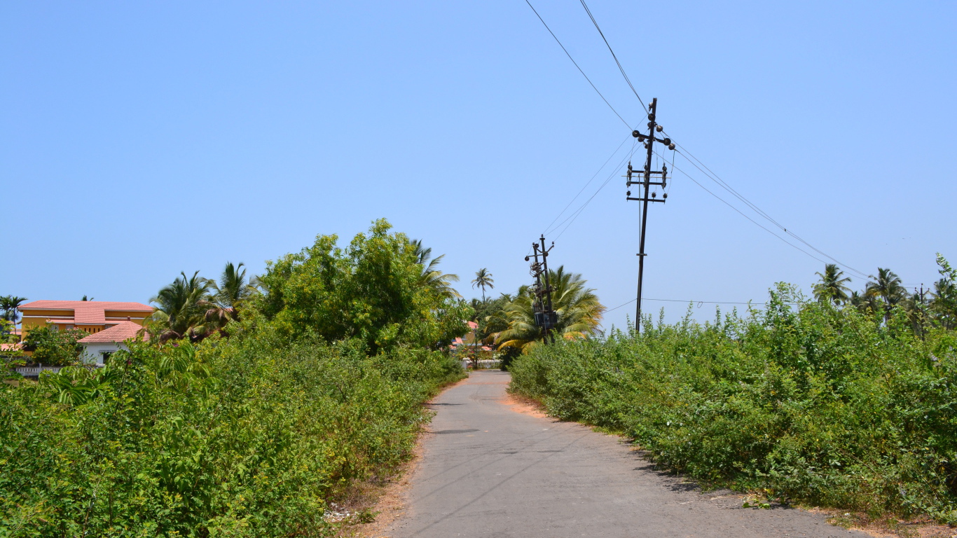 Природа в Бенаулиме