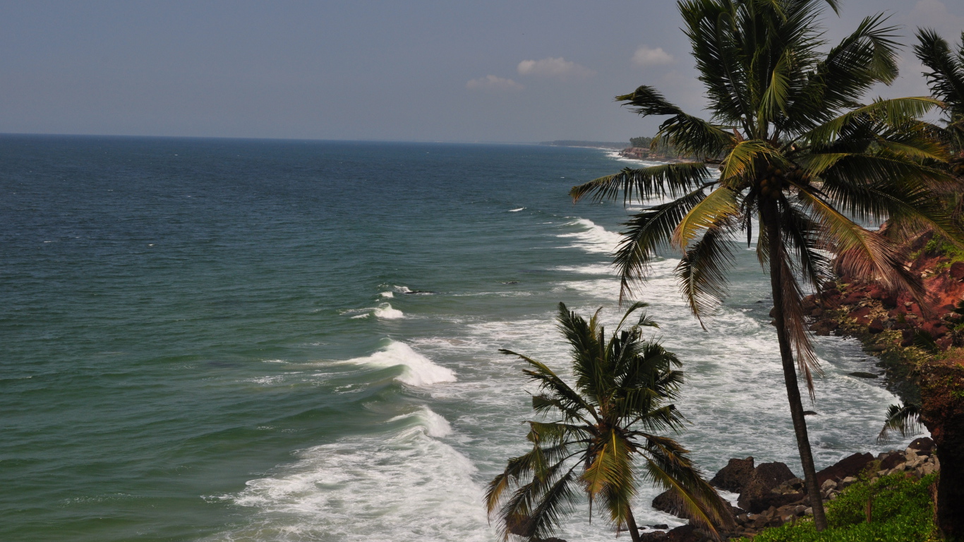 Пальмы на побережье Варкалы
