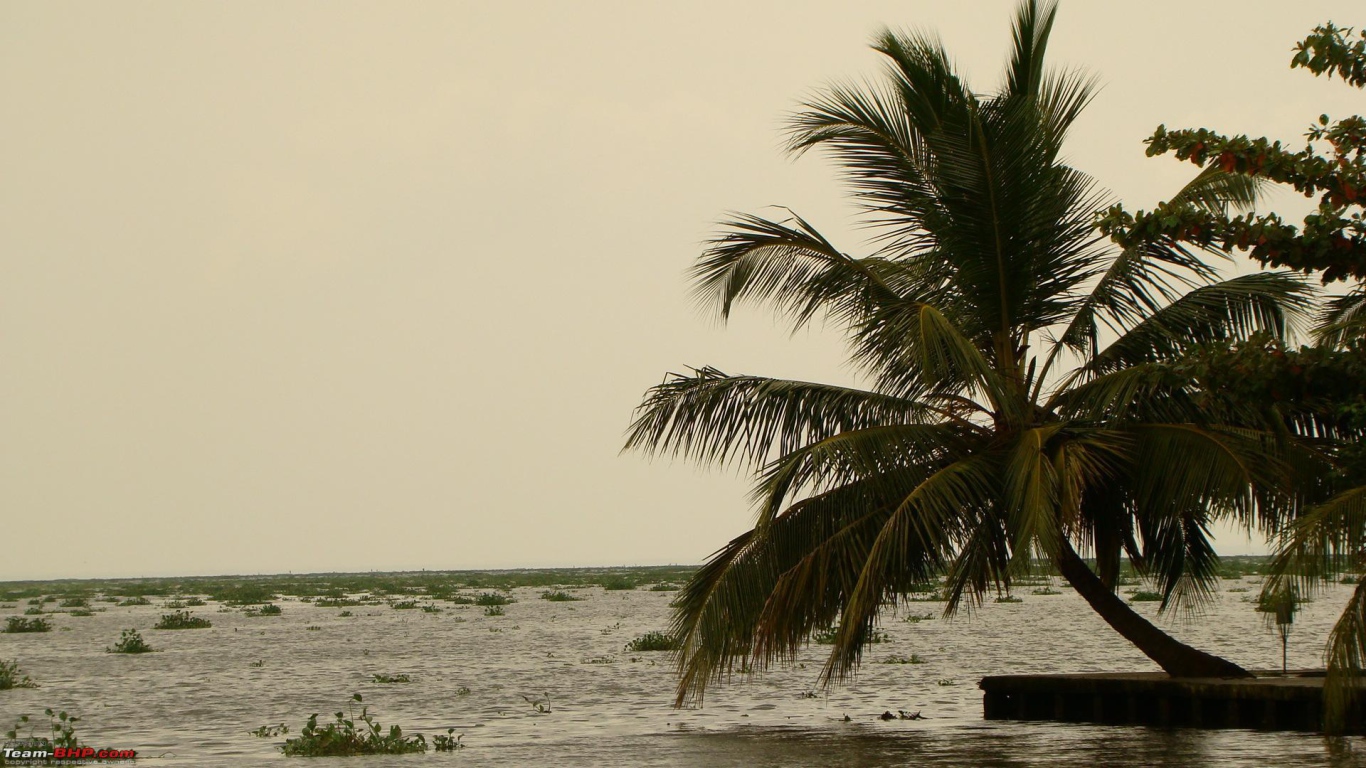 Весенний отпуск в Алапуже