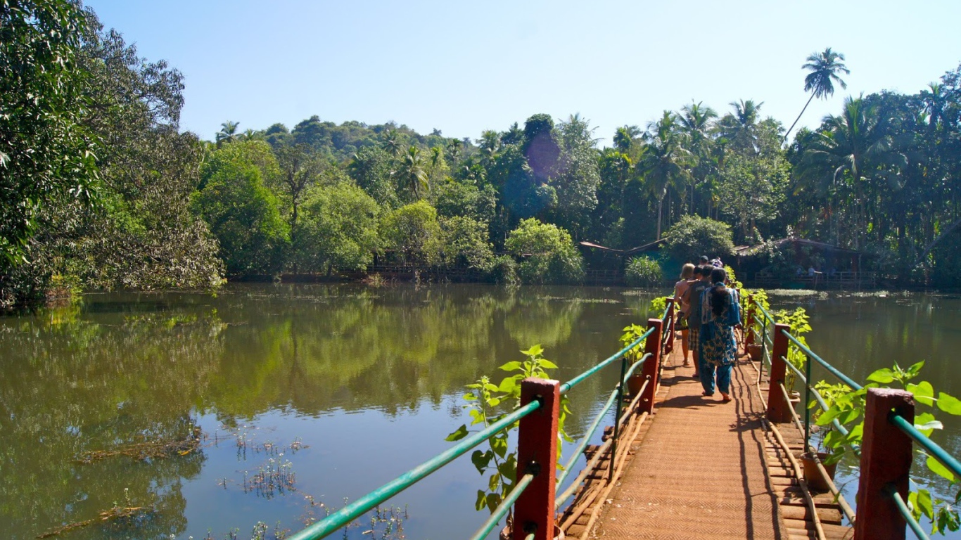 Туристы на мостике в Гоа