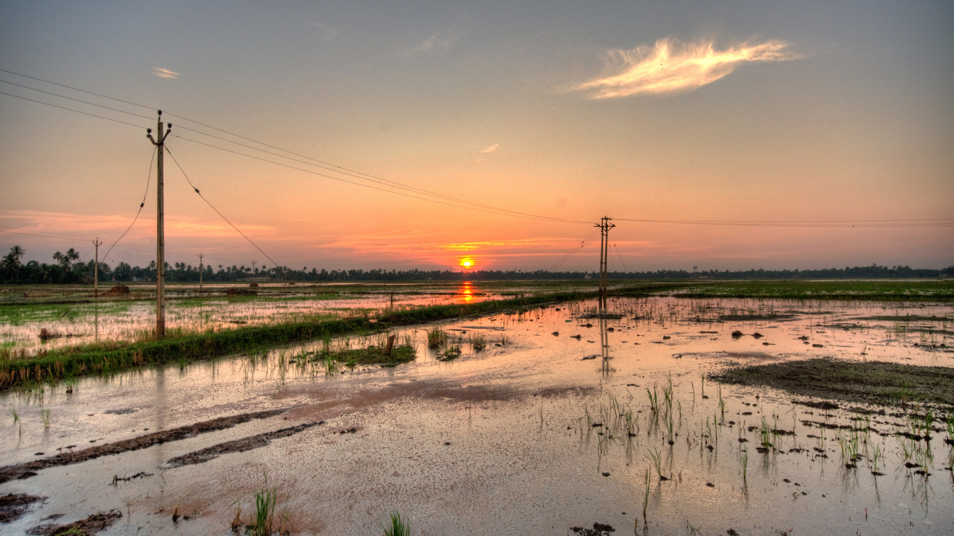 Водная местность в Алапуже