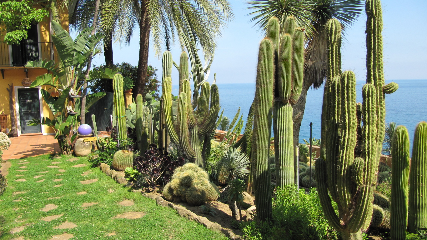 Кактусы на набережной на курорте Бордигера, Италия