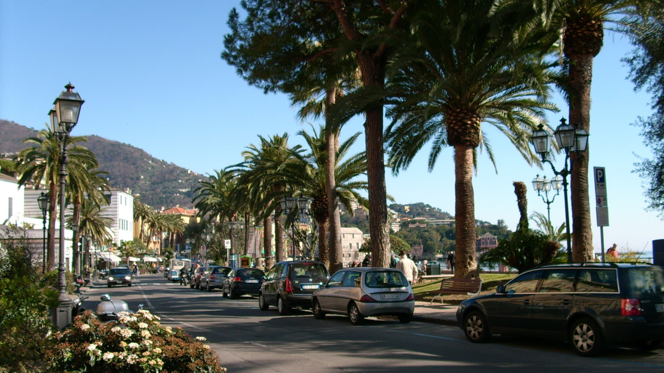 Пальмы на набережной на курорте Рапалло, Италия