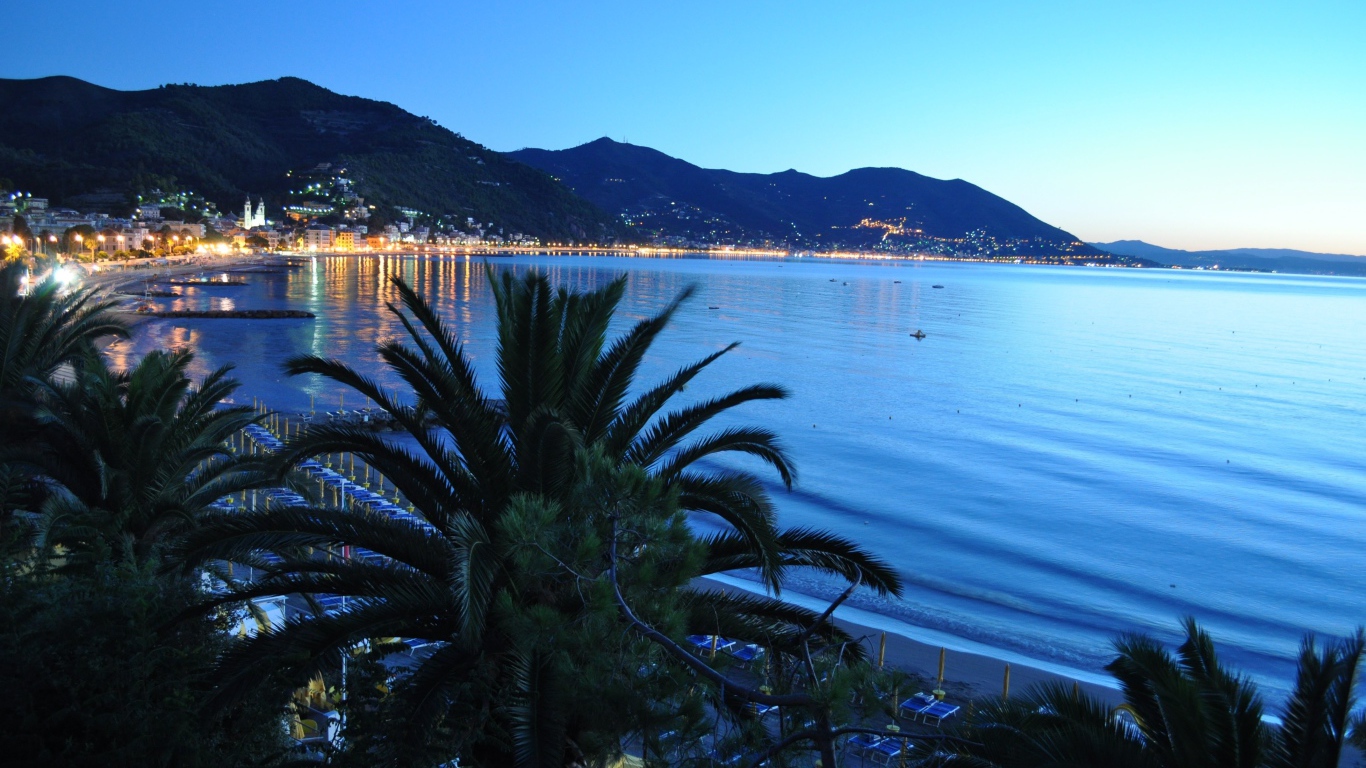 Пальма на фоне залива в Лигурии, Италия