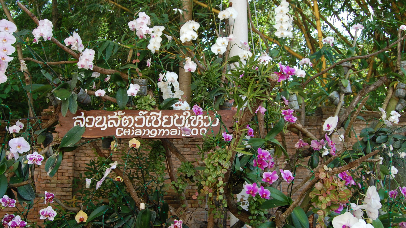 Ботанический сад на курорте Чианг Май, Таиланд