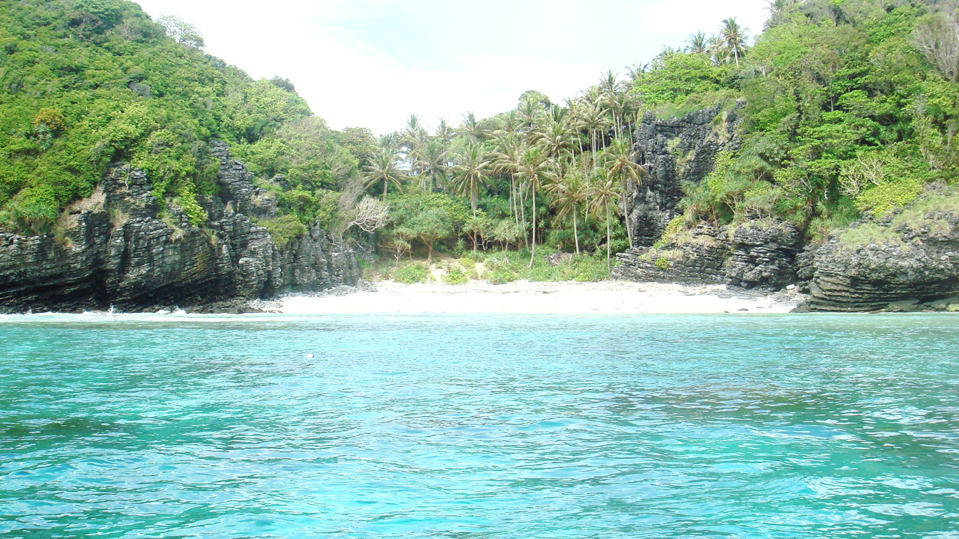 Пальмы на берегу в Пхукете, Таиланд