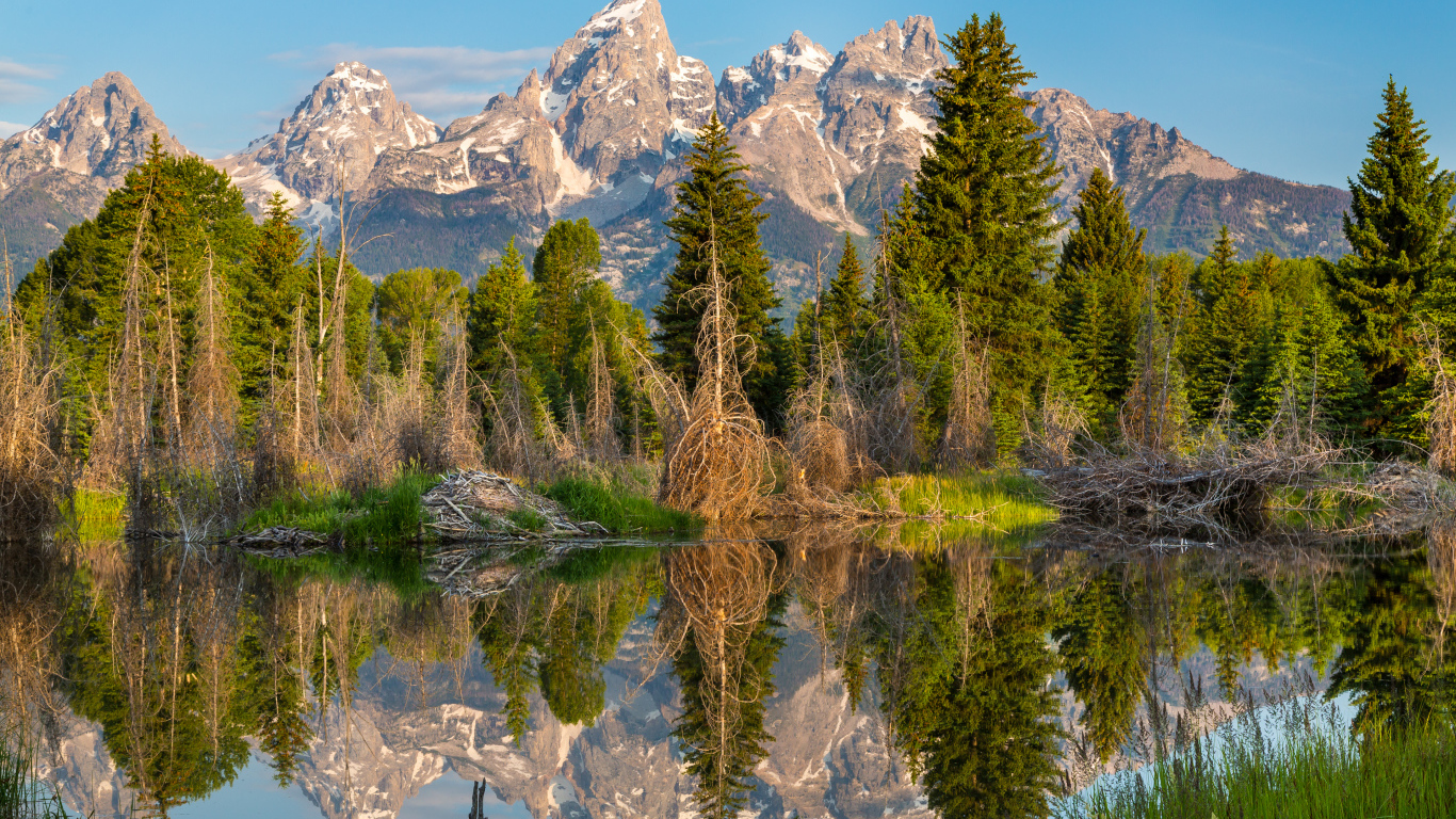 Национальный парк Гранд Титон в США