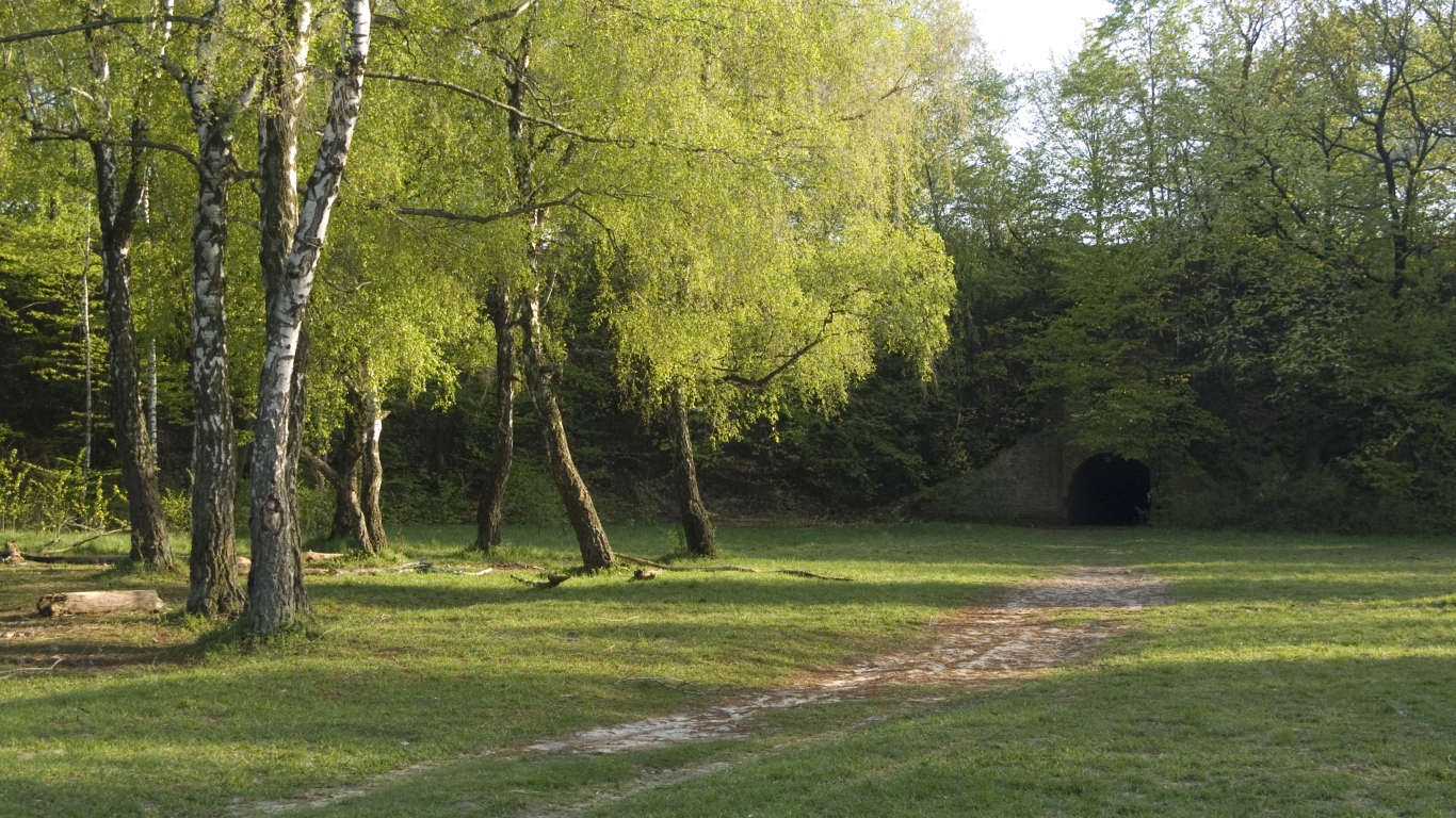 Лысая гора в Киеве