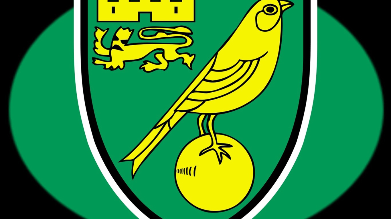 Футбольный клуб Англии Норвич