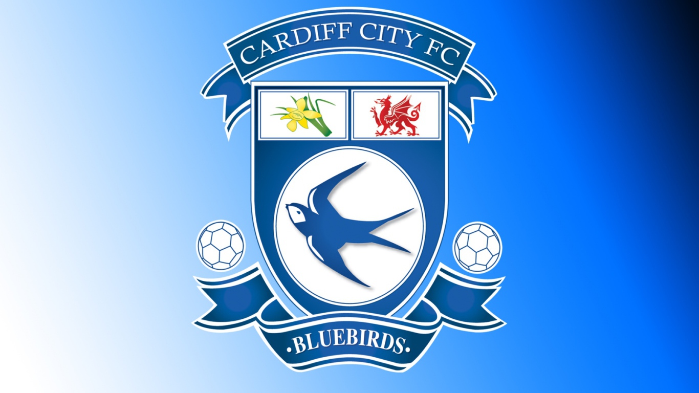 Популярный Футбольный клуб Кардифф Сити