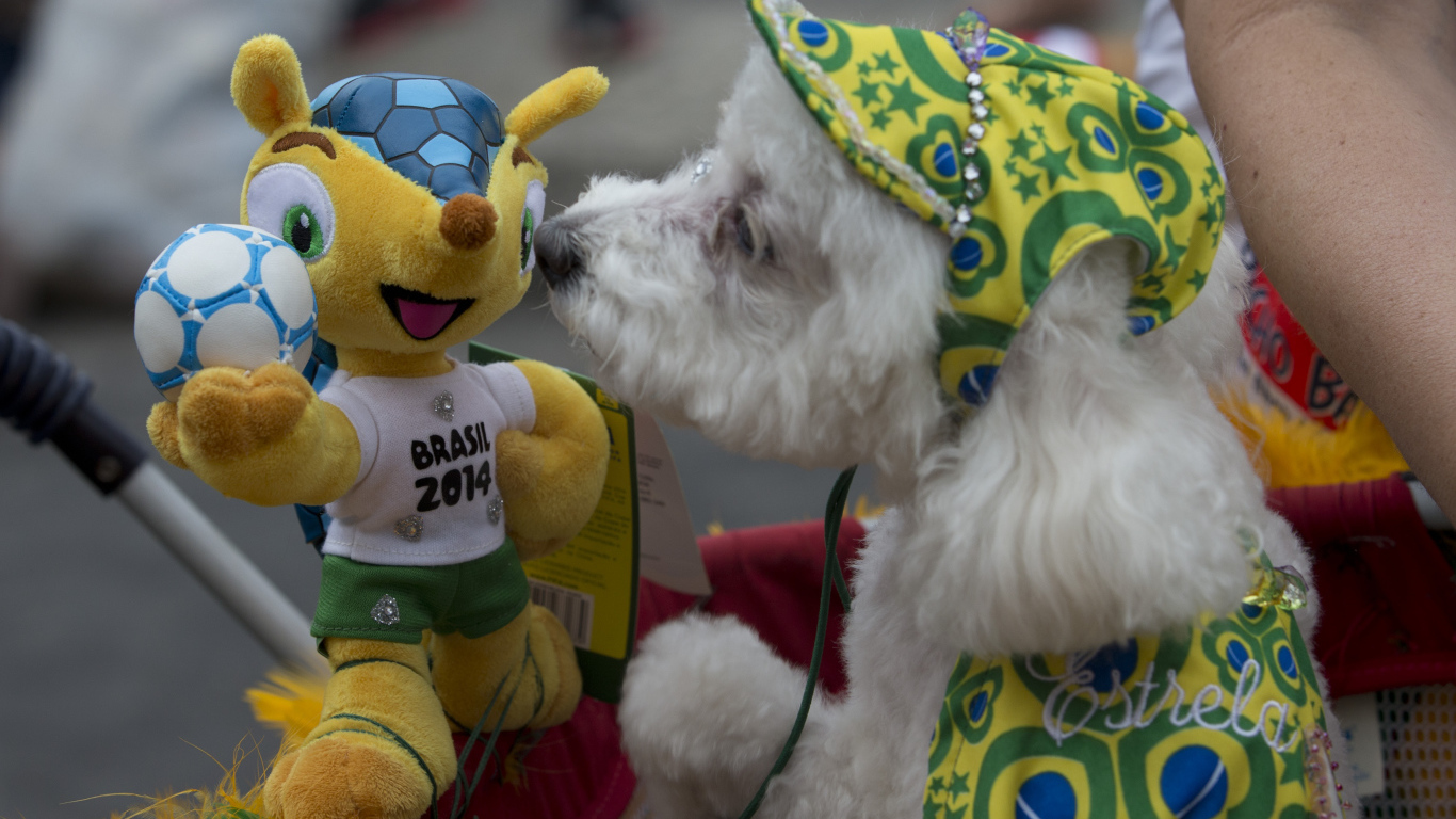 Талисман Чемпионата Мира по футболу в Бразилии 2014 приветствует с собакой