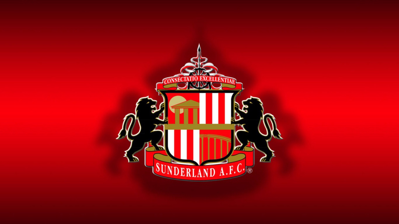 Знаменитая футбольная команда Англии Сандерленд