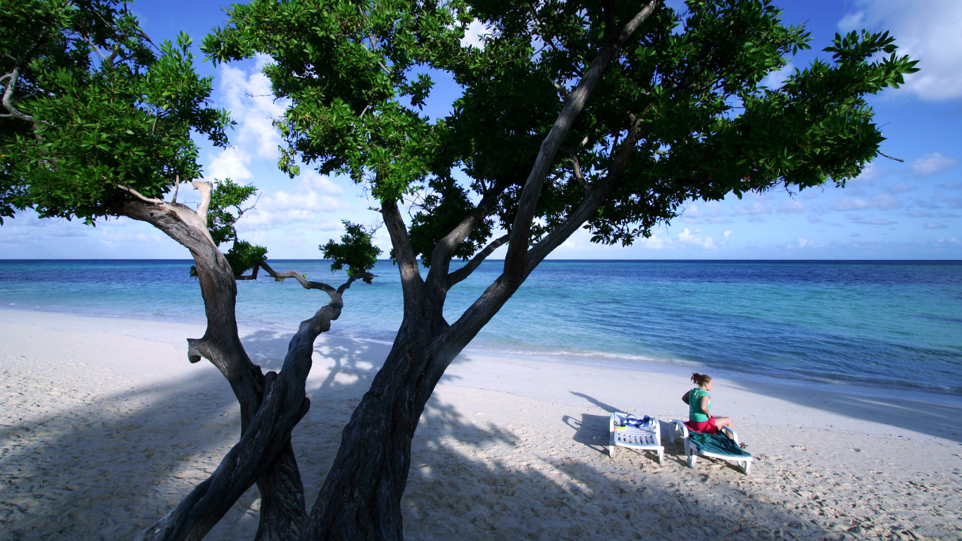 Дерево на пляже на курорте Гуардалавака, Куба