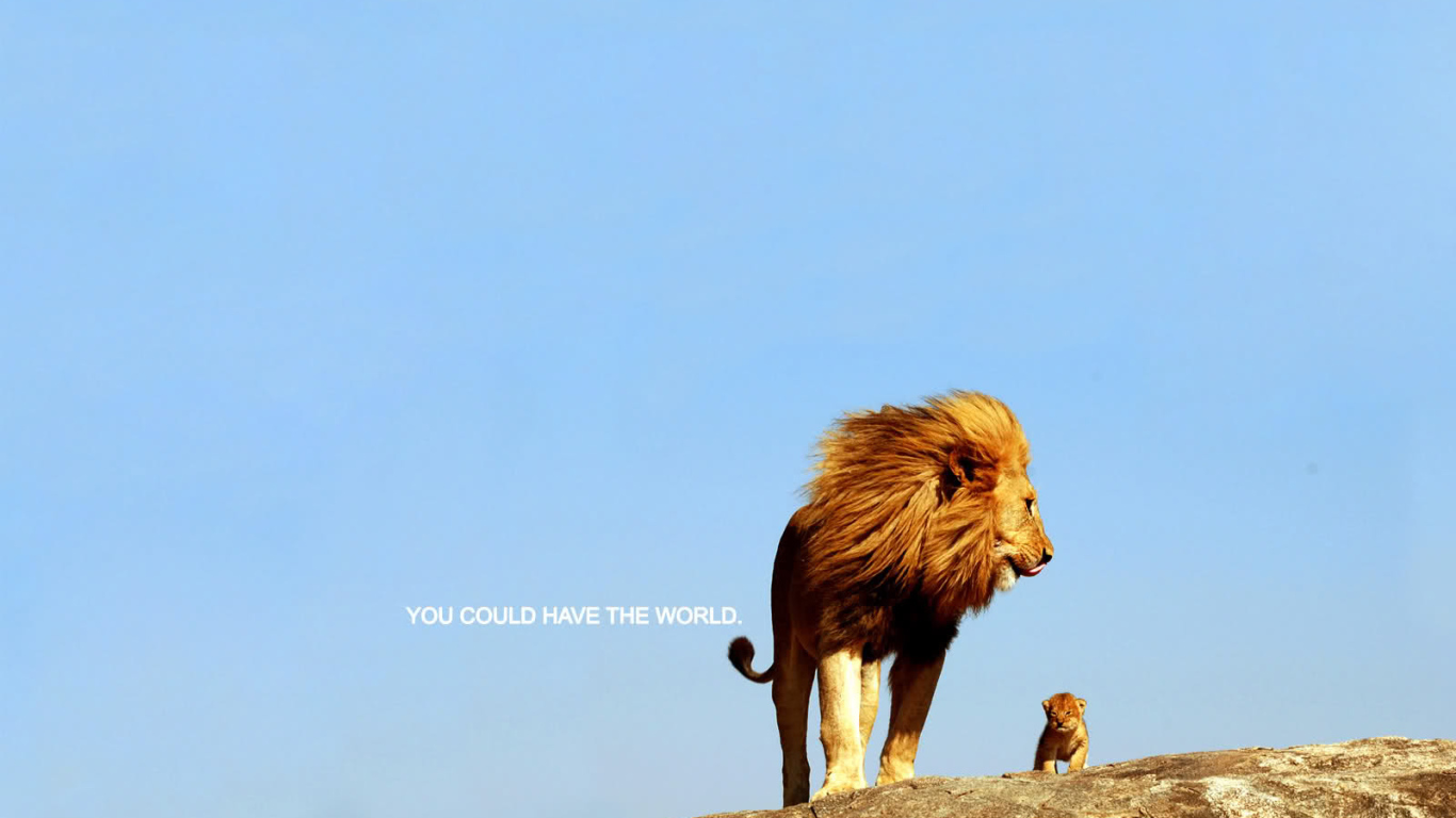 Ты можешь покорить весь мир