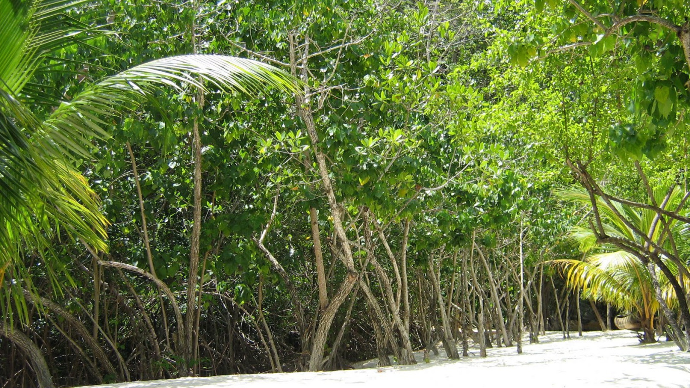 Захватывающие дух место в Гаити