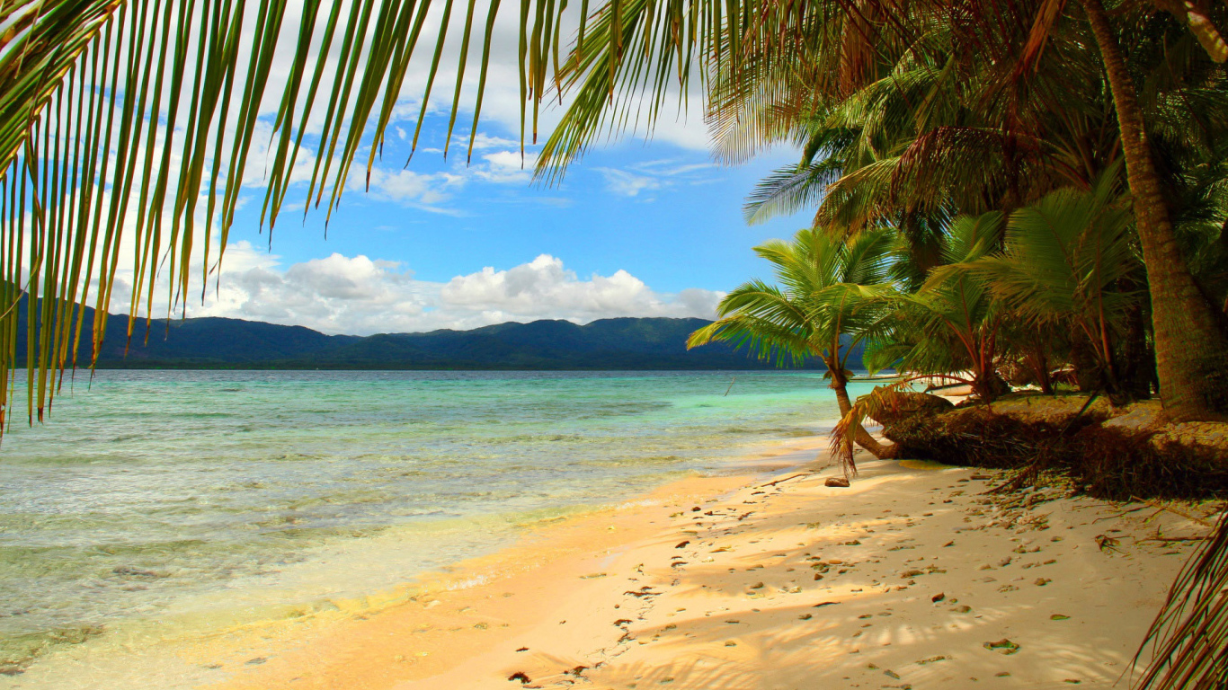 Замечательное Панама