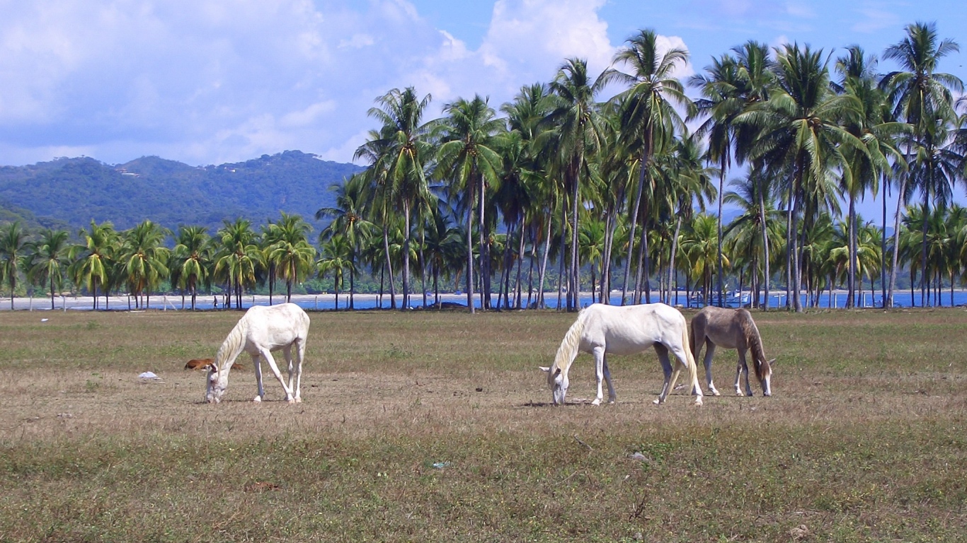 Популярное место в Коста-Рика