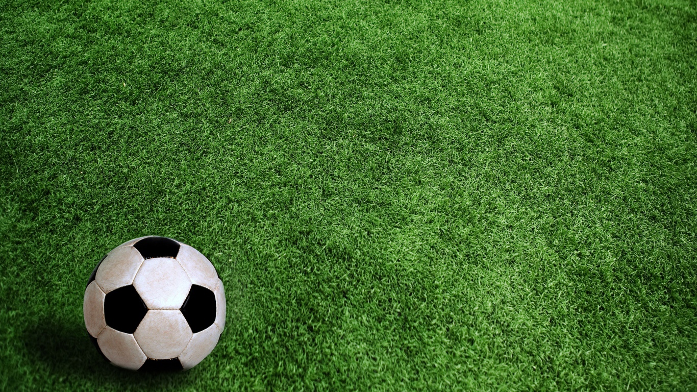 	   Soccer ball on grass
