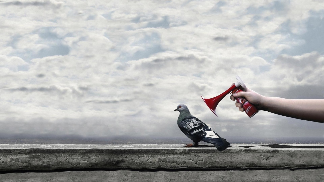 Гудок у уха городского голубя