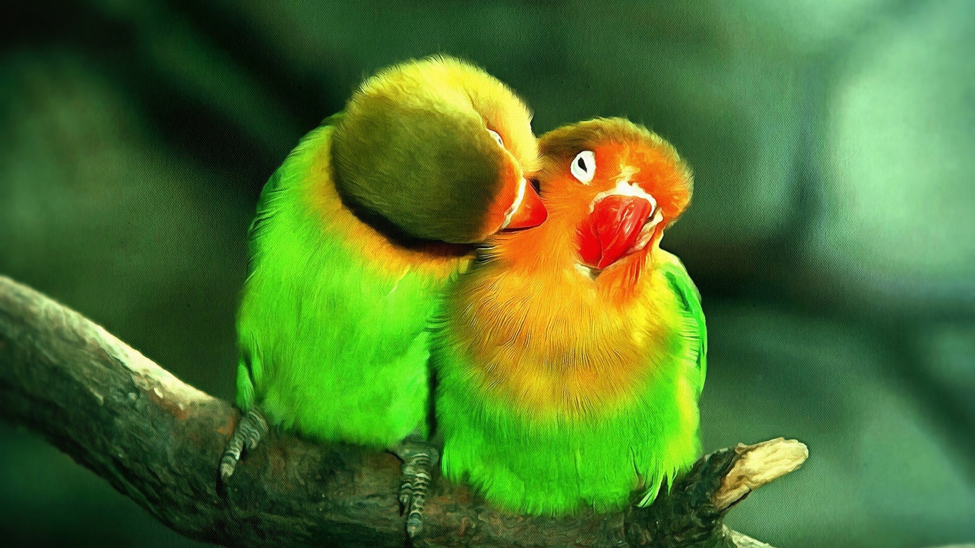 Два милых зеленых попугая на ветке дерева