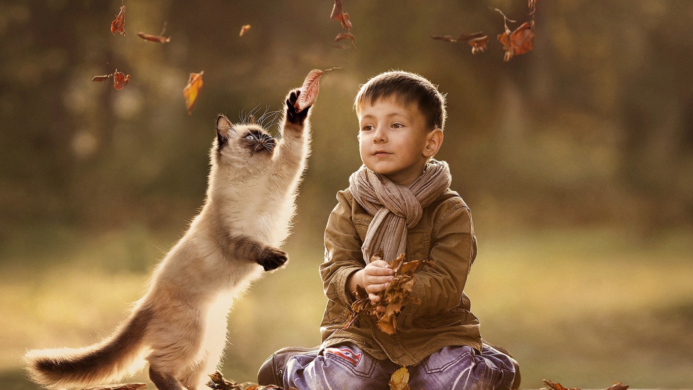 Ребенок и кот играют вместе