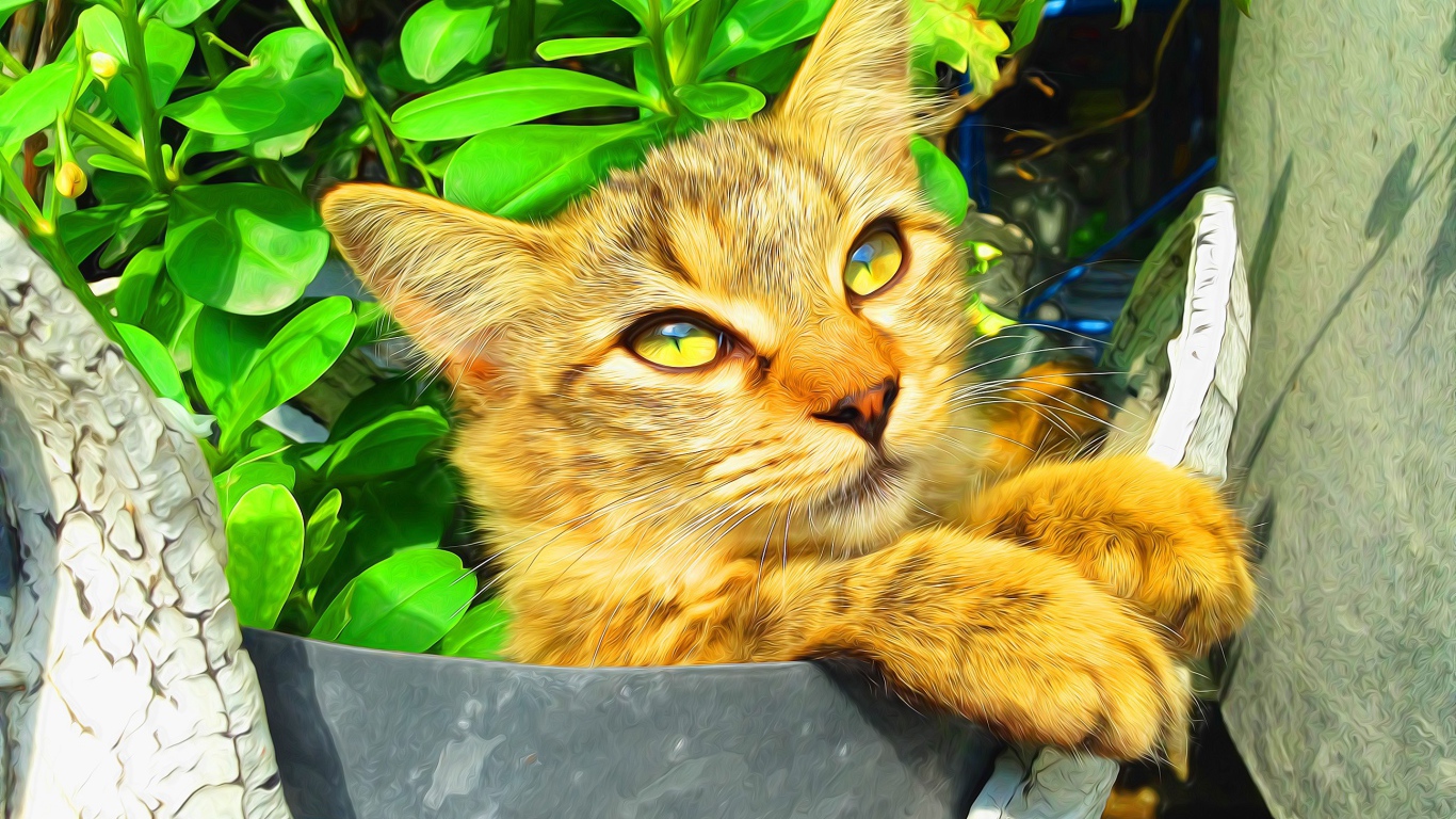 Милый рыжий кот на фоне зелени