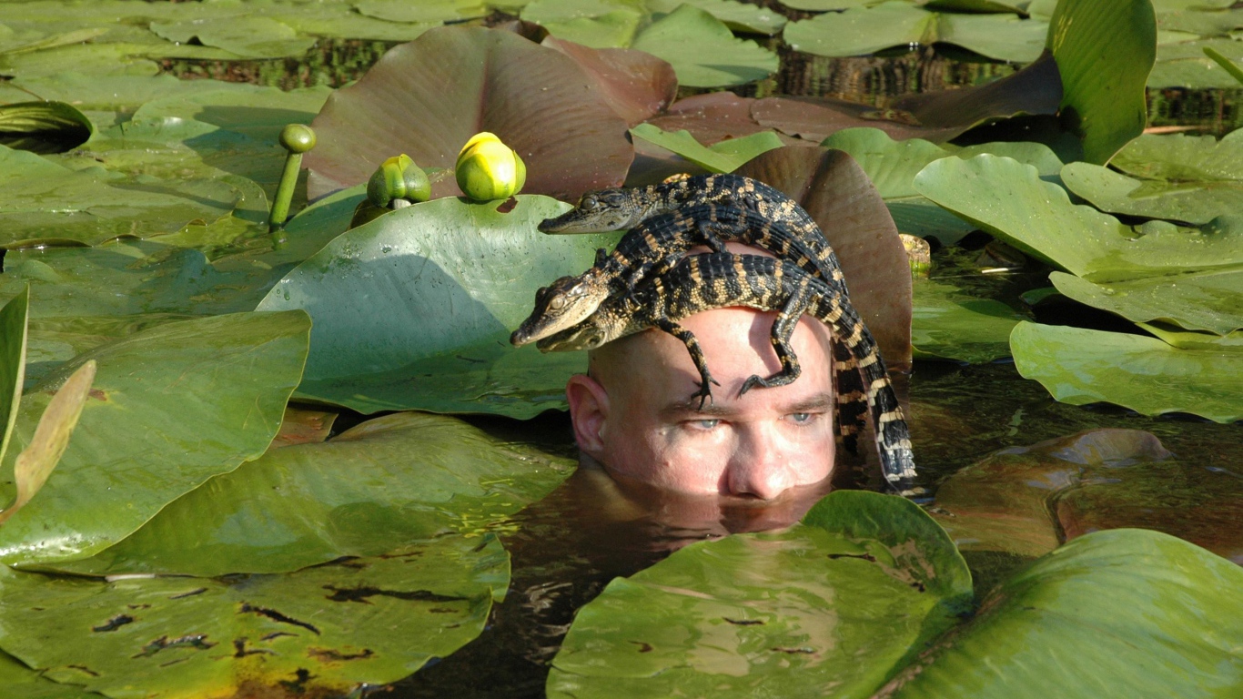 Крокодилы на голове человека