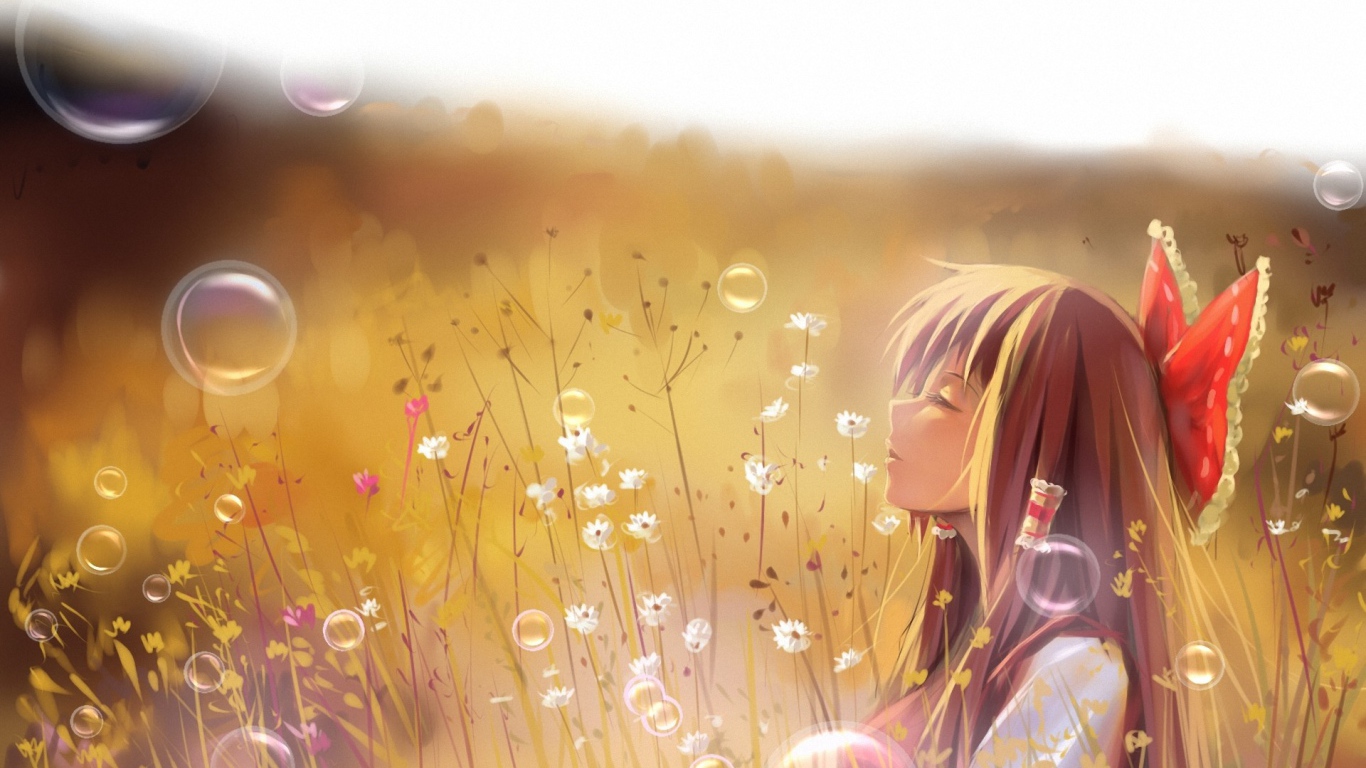 Девочка в поле, аниме Touhou Project