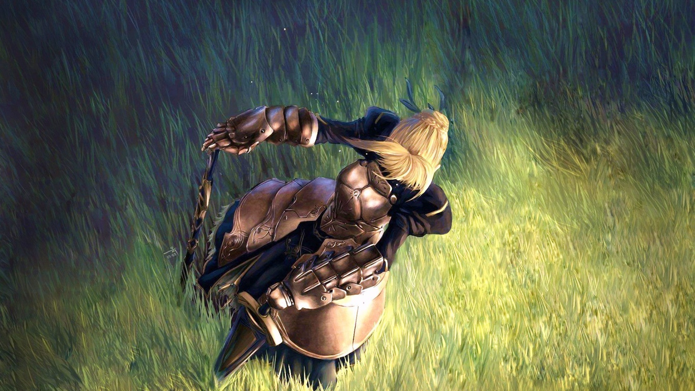 Тайп Мун в поле, аниме Ночь прибытия