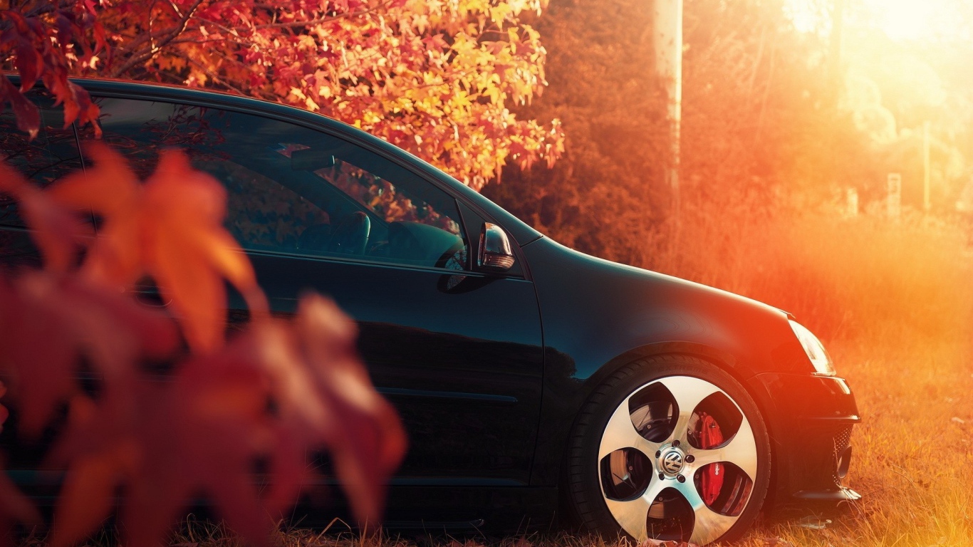 Черный автомобиль под осенней листвой