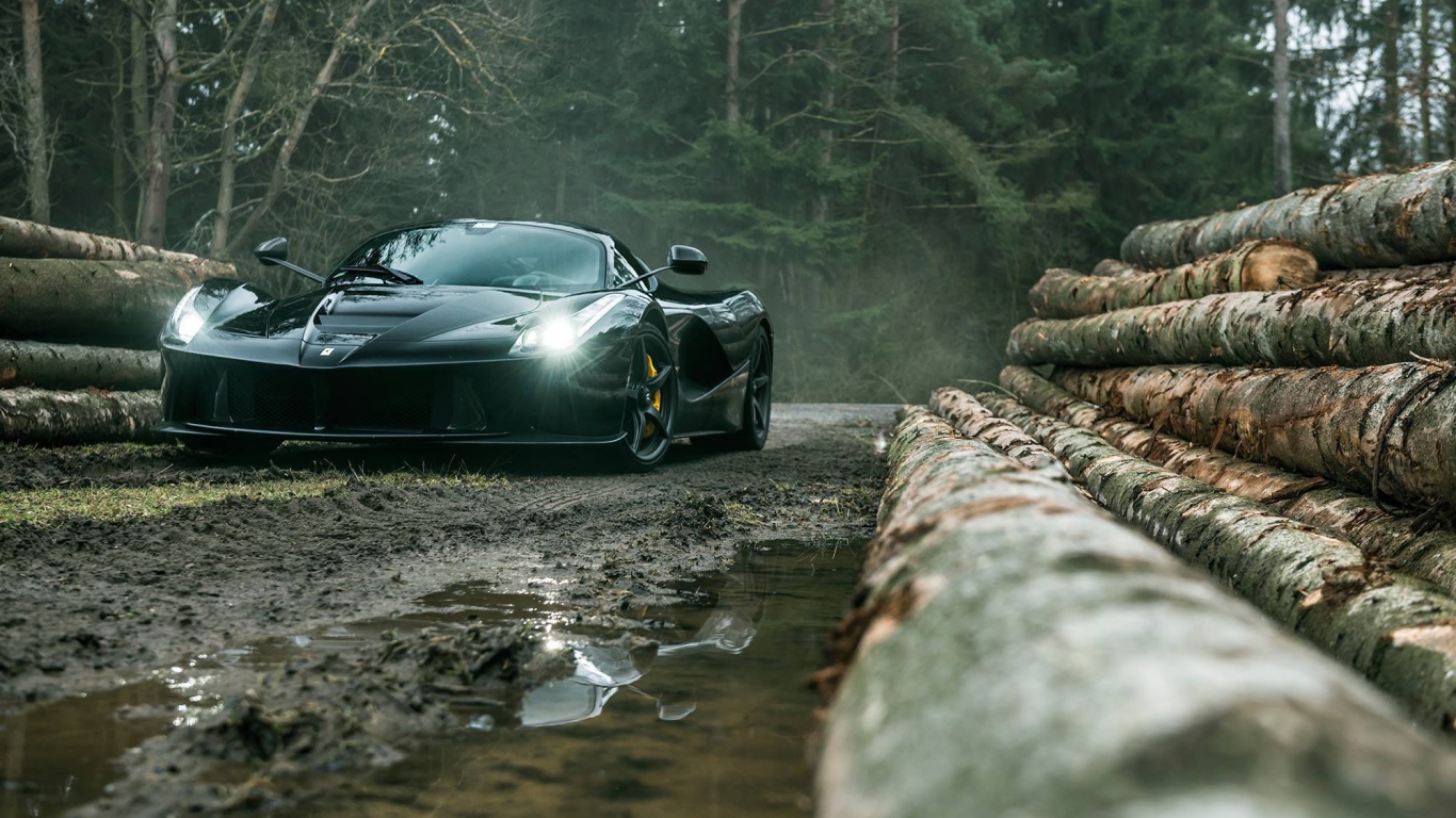 Черный Ferrari LaFerrari на лесоповале