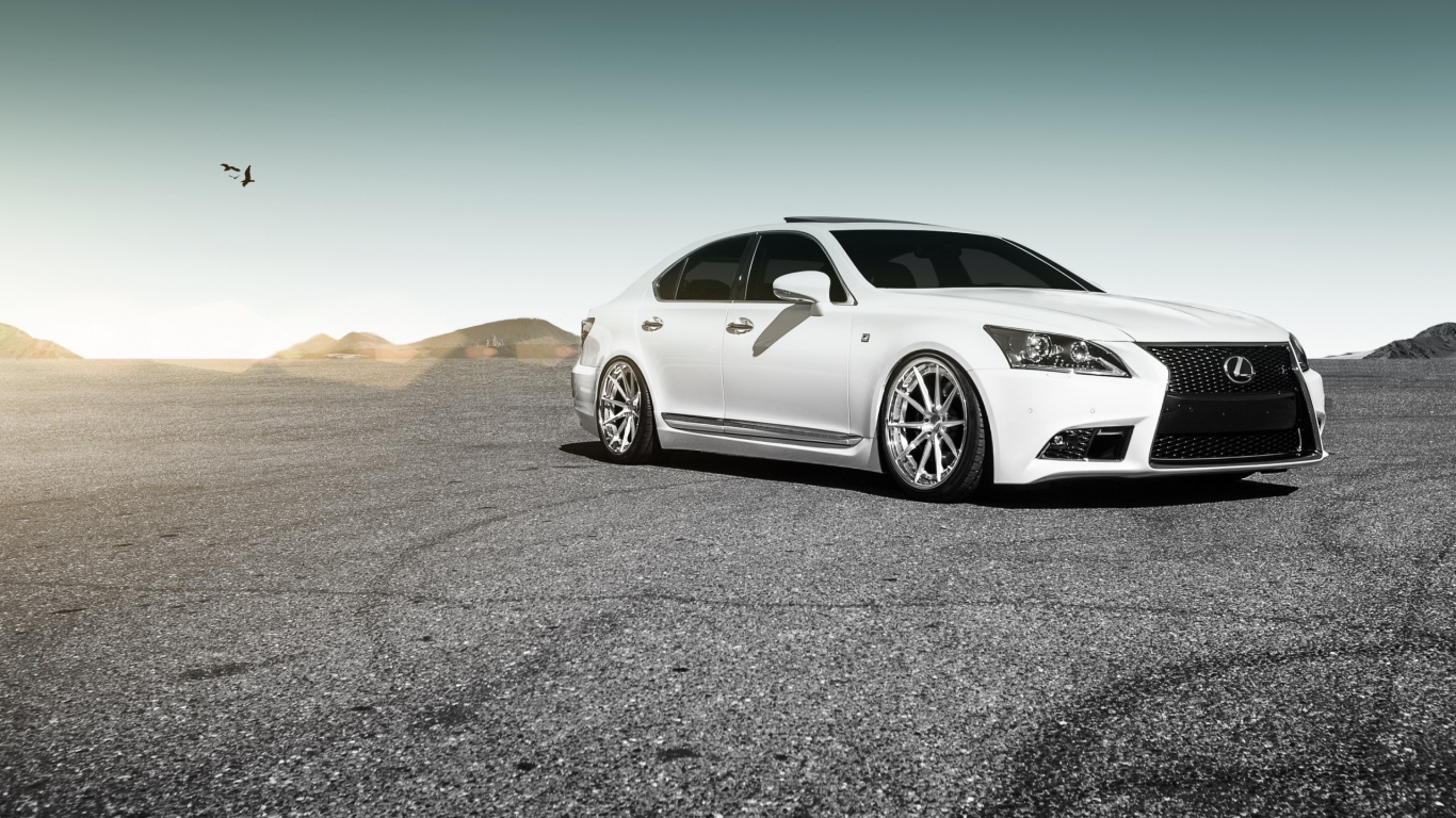 Белый Lexus на серой гальке