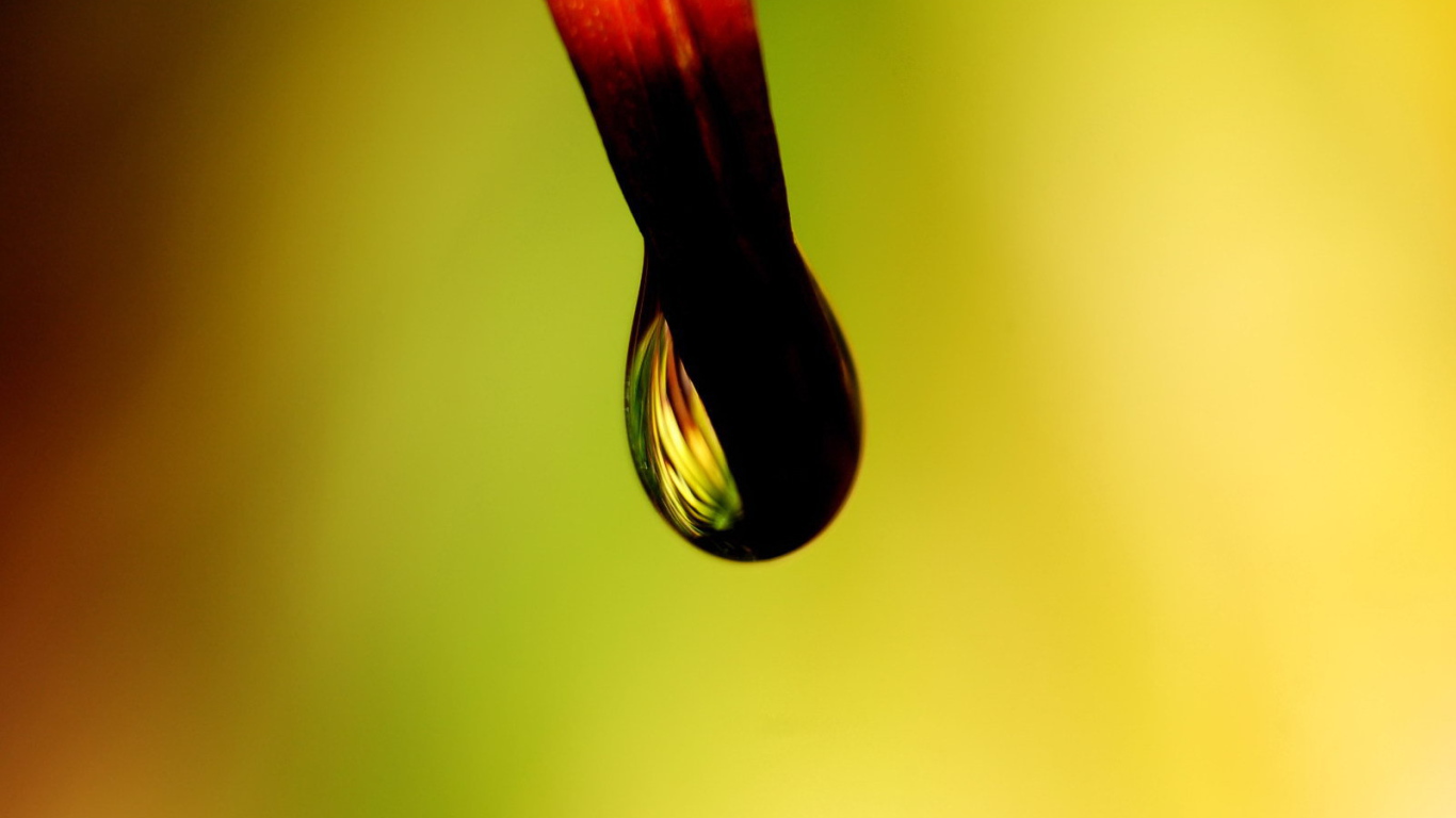 Черная капля