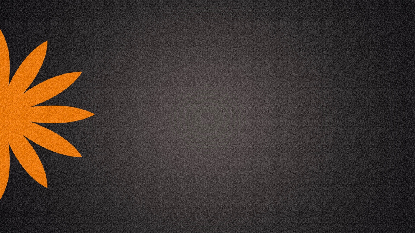 Серый фон, оранжевый цветок