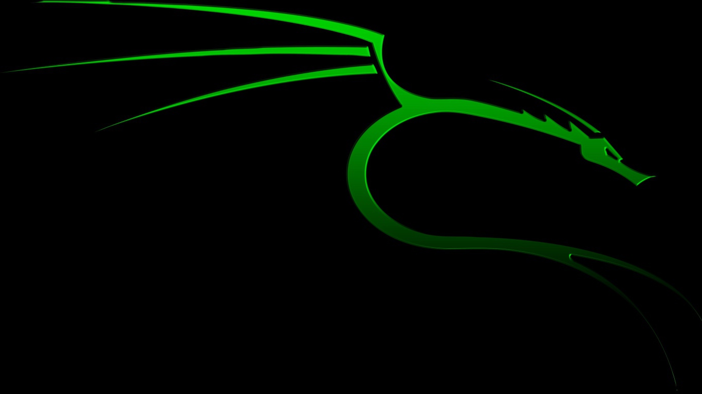 Green dragon on a black background Kali Linux