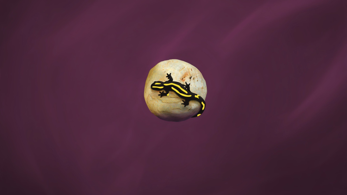 Ящерица на камне, фиолетовый фон