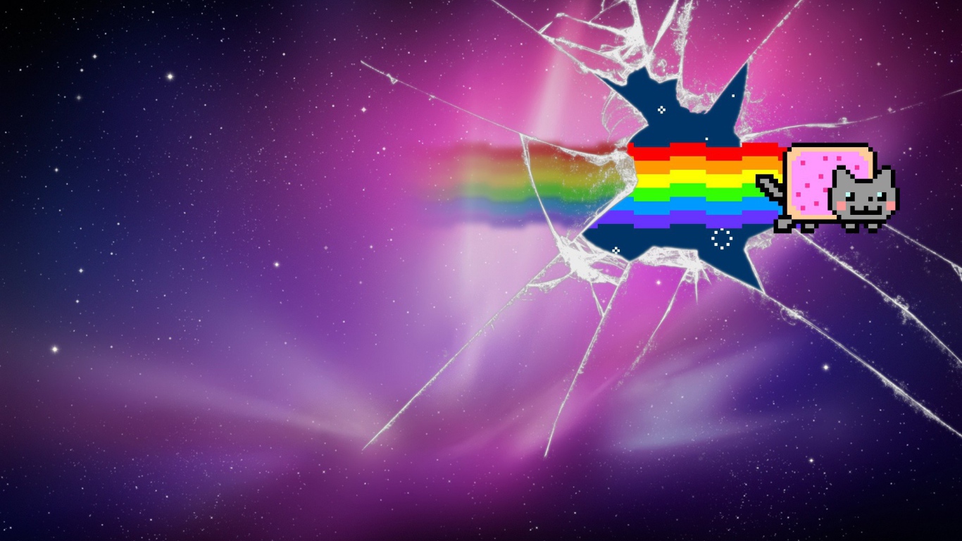 Нян кот разбил стекло