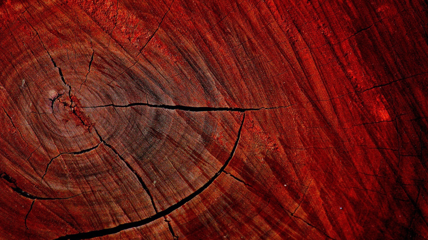 Красный спил дерева