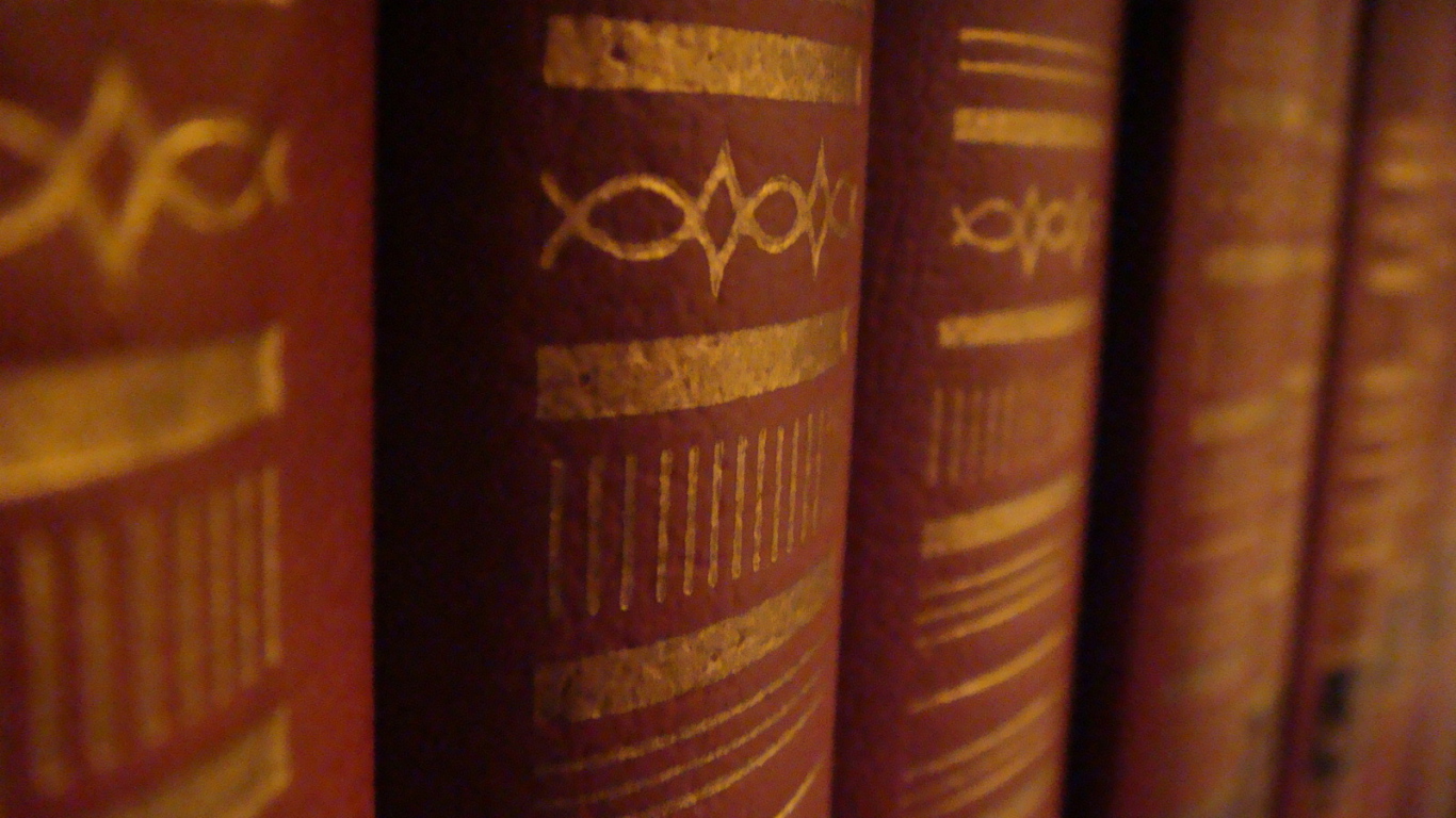 Корешки книг